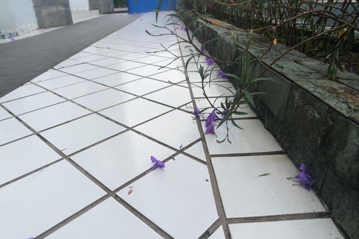 سرامیک کف حیاط خلوت الهام‌ گرفته از نور طبیعی